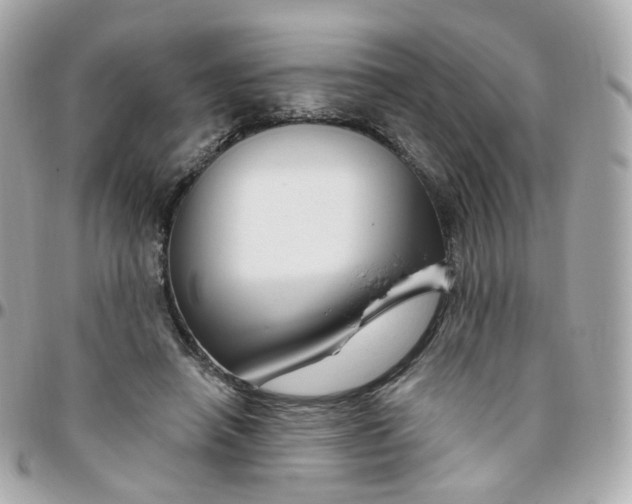 X0000095900450200802011132