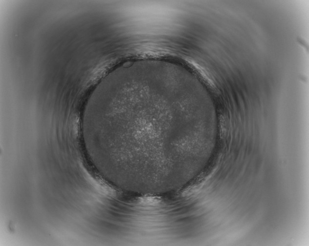 X0000095900451200802011132