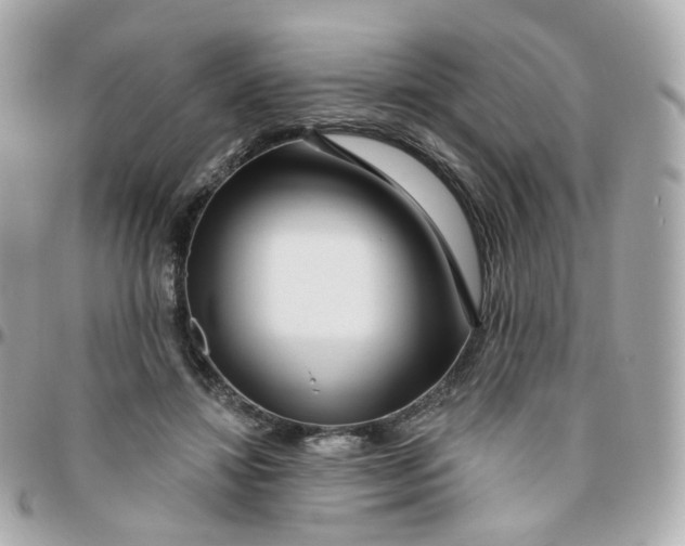 X0000095900452200802011132