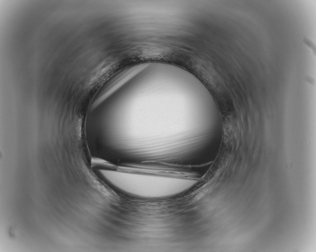 X0000095900454200802011132