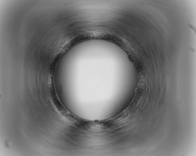 X0000095900456200802011132