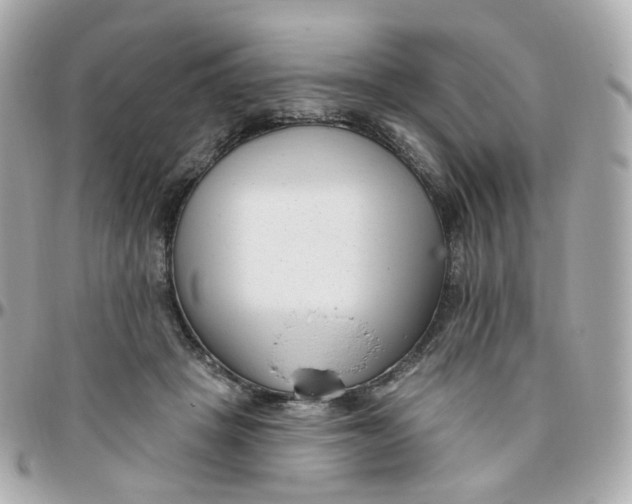 X0000095900457200802011132