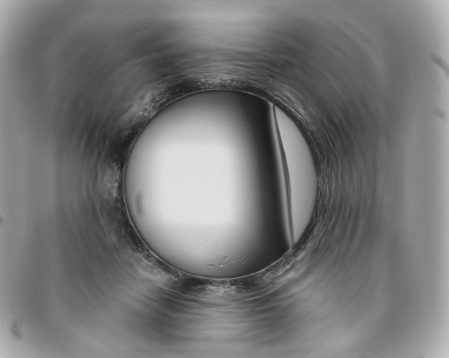 X0000095900458200802011132