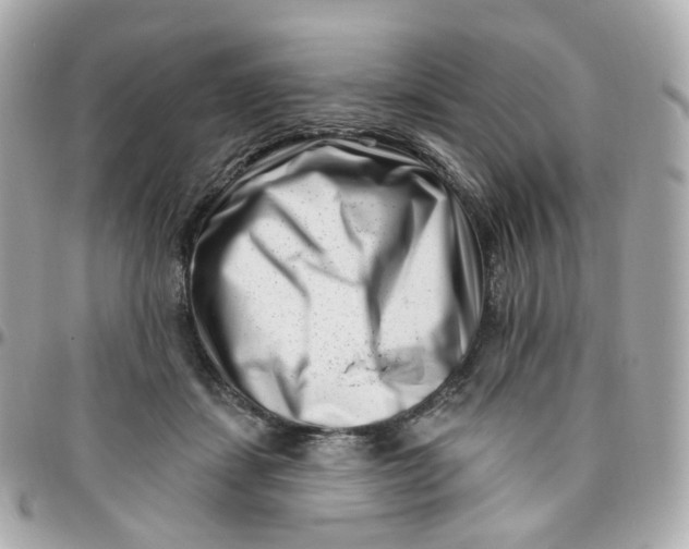 X0000095900459200802011132