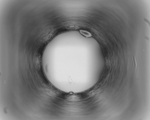 X0000095900460200802011132