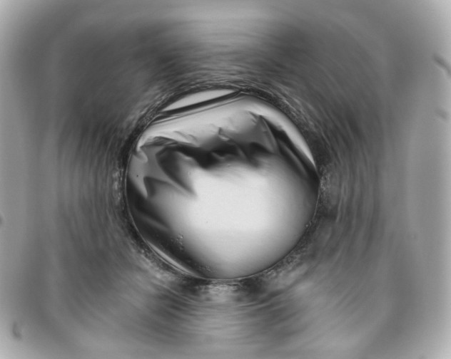 X0000095900462200802011132