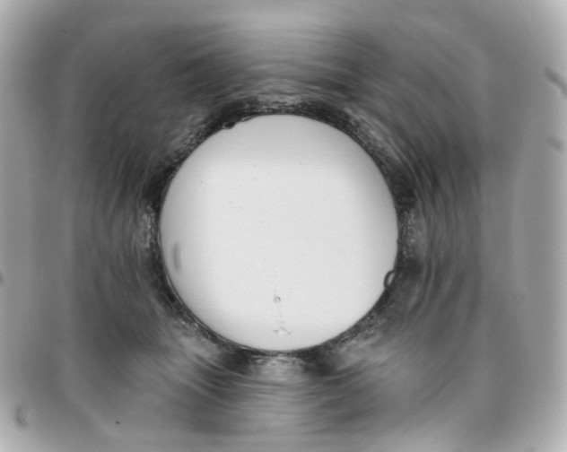 X0000095900463200802011132