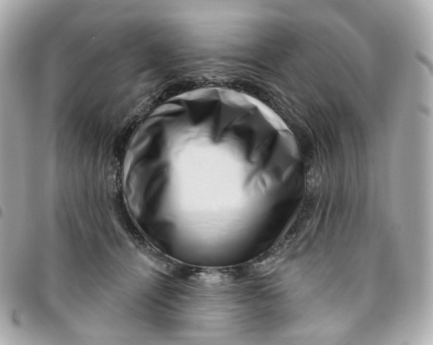 X0000095900464200802011132