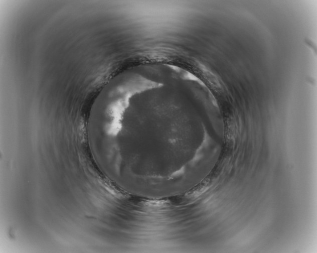 X0000095900465200802011132