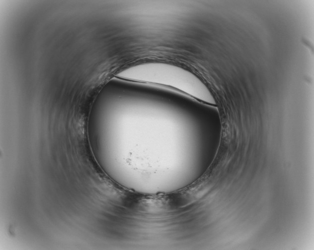 X0000095900466200802011132