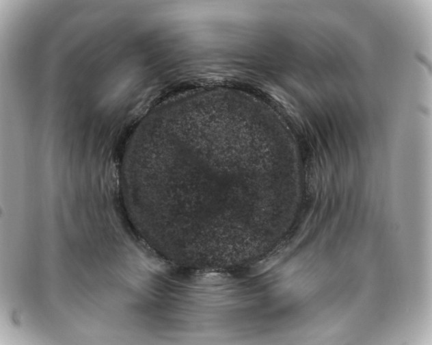 X0000095900467200802011132