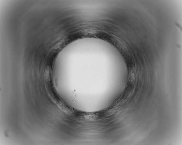 X0000095900468200802011132