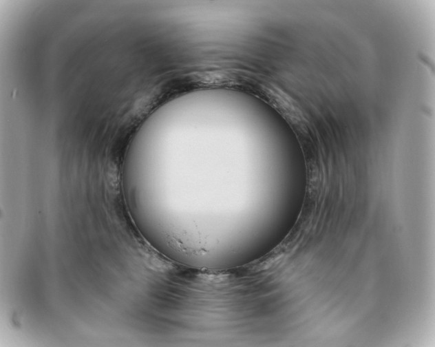 X0000095900469200802011132