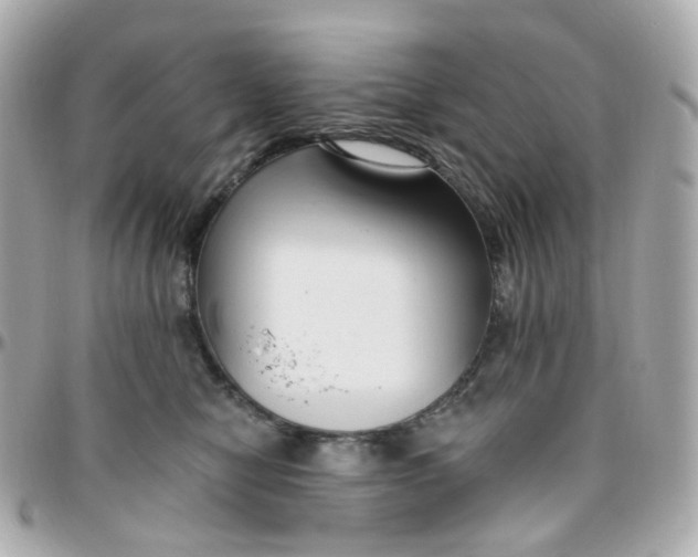 X0000095900470200802011132