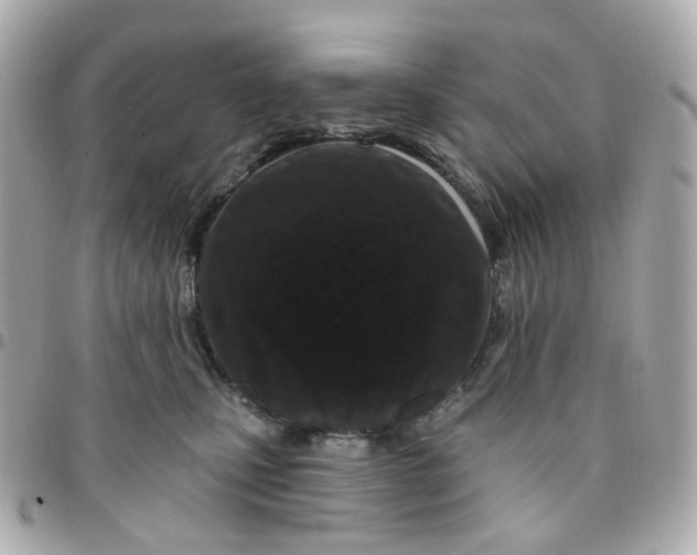 X0000095900471200802011132