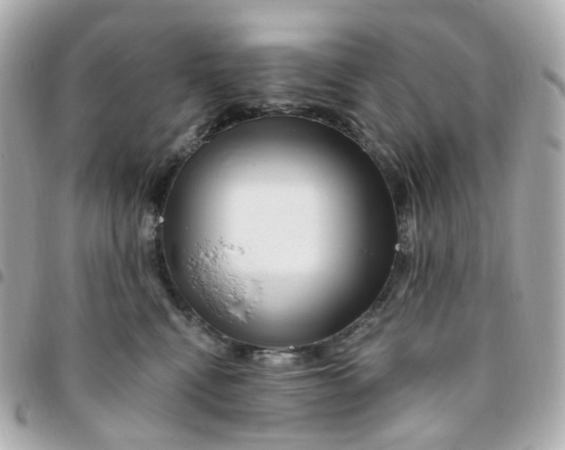 X0000095900472200802011132