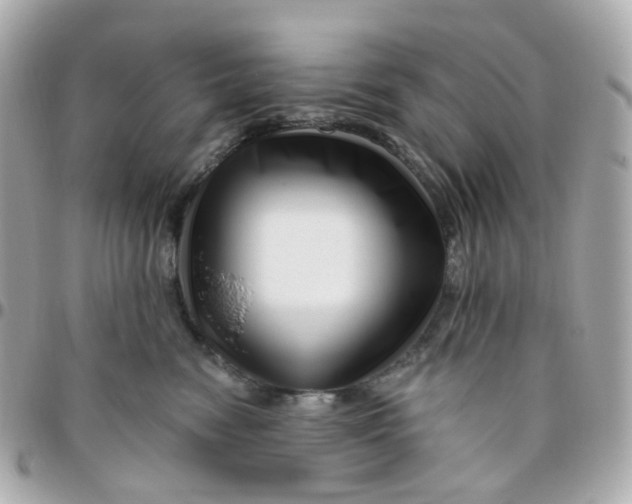 X0000095900474200802011132