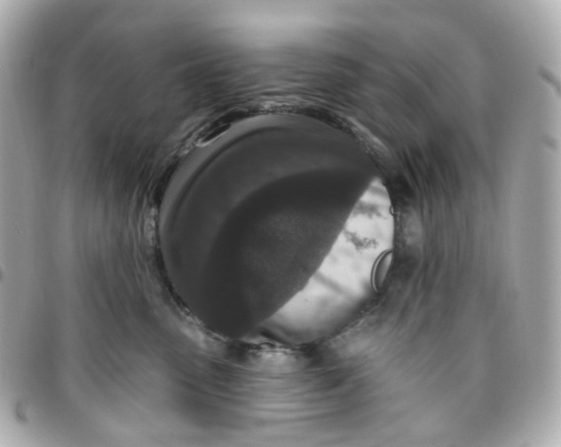 X0000095900475200802011132