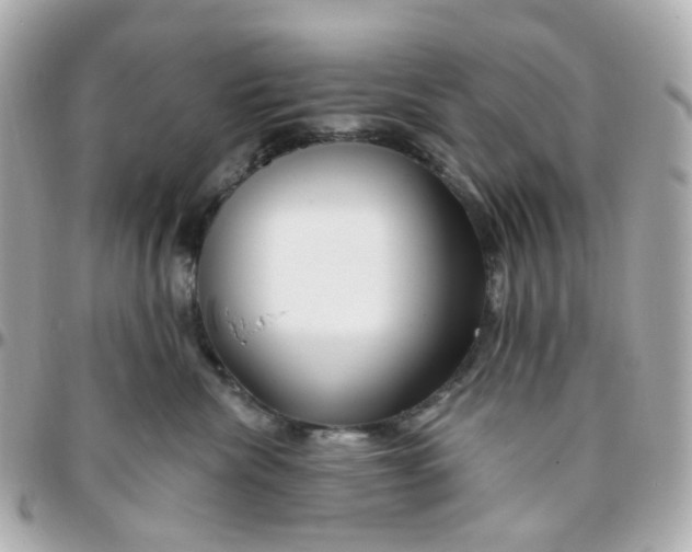 X0000095900476200802011132