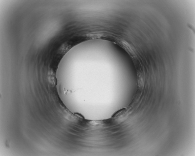 X0000095900477200802011132