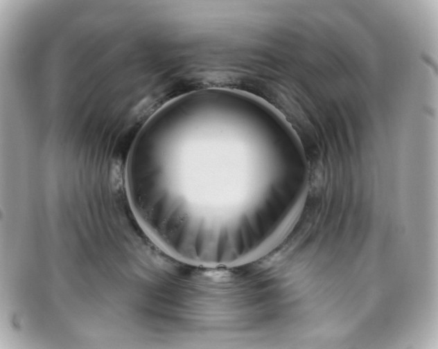 X0000095900478200802011132