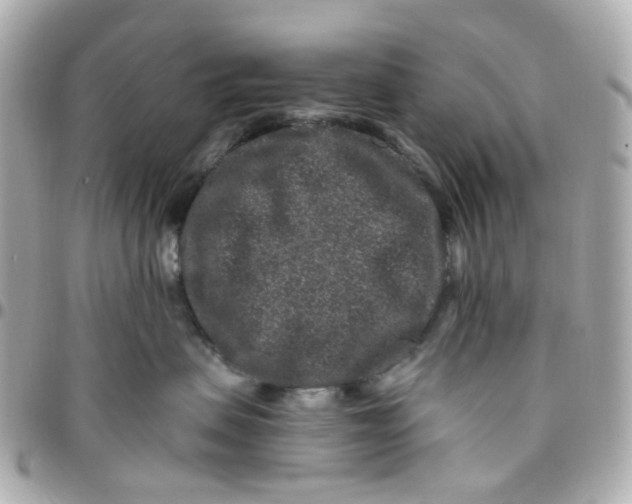 X0000095900479200802011132