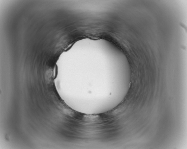 X0000095900480200802011132