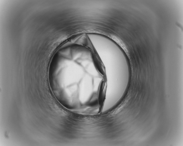 X0000095900481200802011131