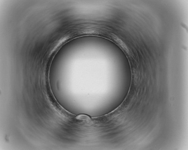 X0000095900482200802011131