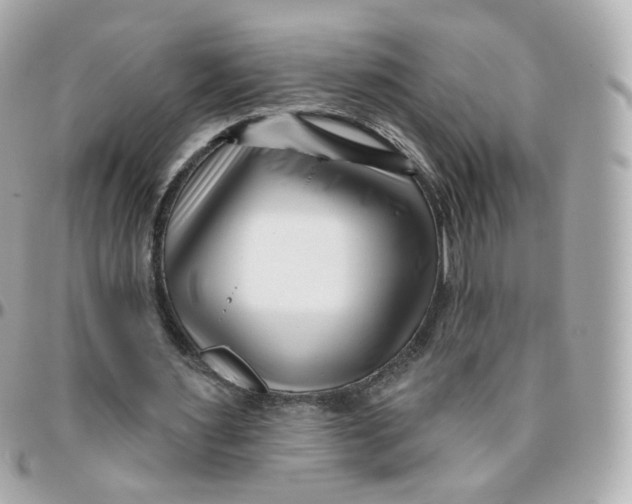 X0000095900483200802011131