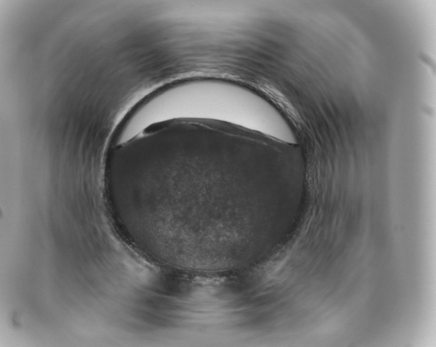 X0000095900484200802011131