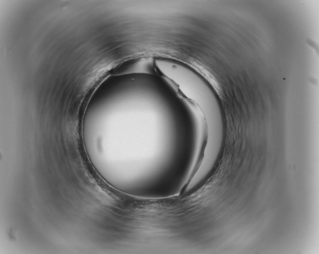 X0000095900485200802011131