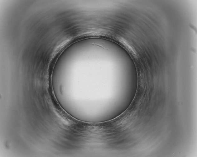 X0000095900486200802011131