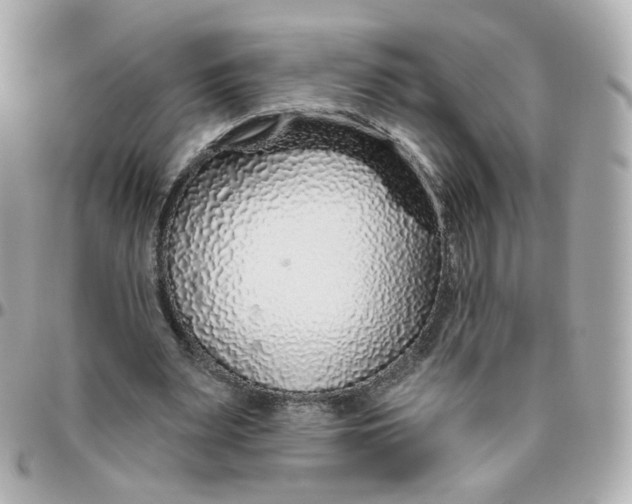 X0000095900487200802011131