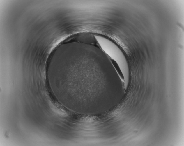 X0000095900488200802011131