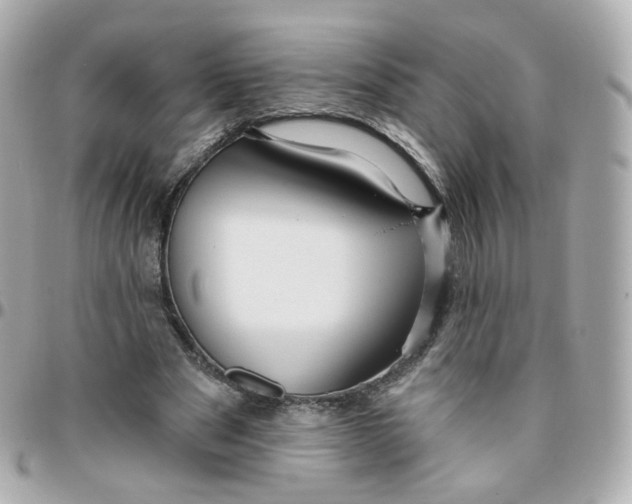 X0000095900489200802011131