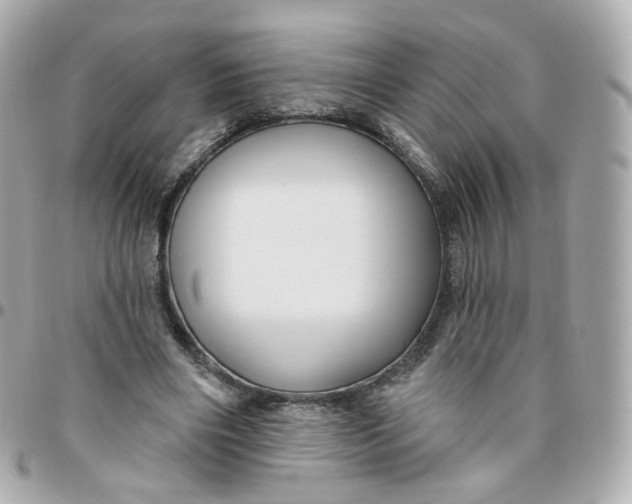 X0000095900490200802011131