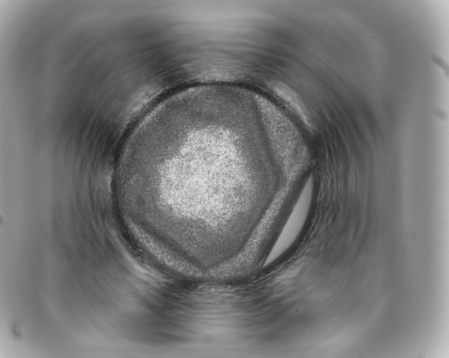 X0000095900491200802011131