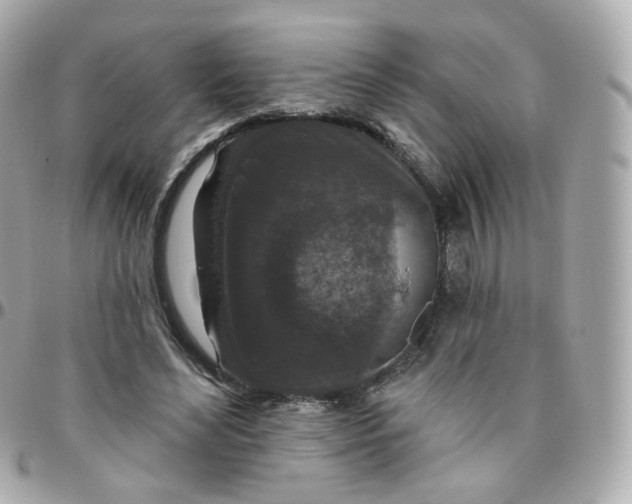 X0000095900492200802011131