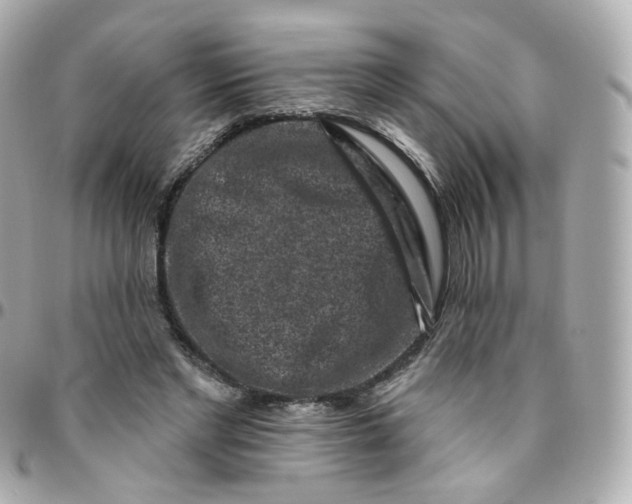 X0000095900493200802011131