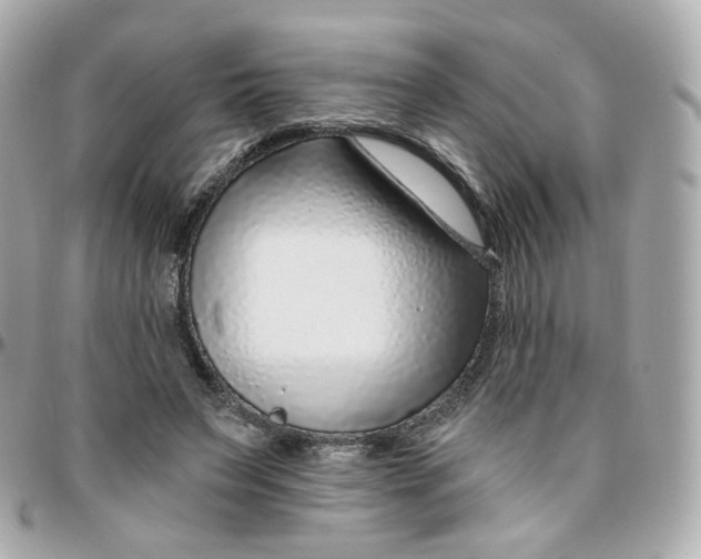 X0000095900495200802011131