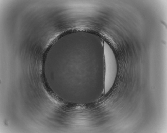 X0000095900496200802011131