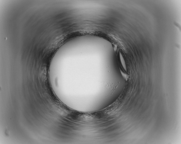 X0000095900498200802011131