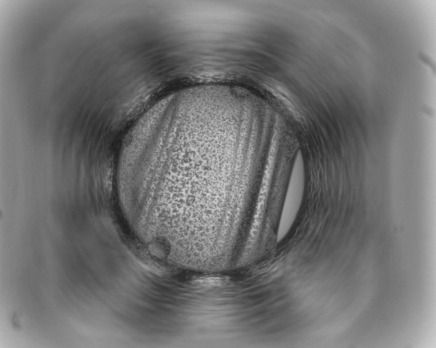 X0000095900499200802011131