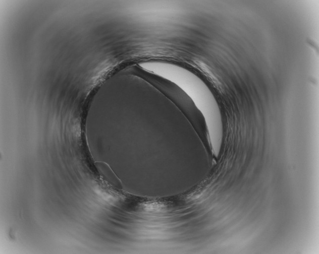 X0000095900500200802011131