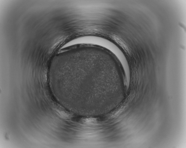 X0000095900501200802011131