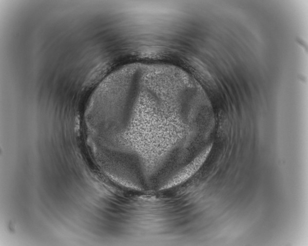 X0000095900502200802011131