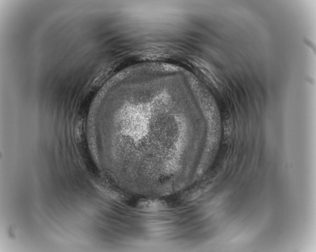 X0000095900503200802011131