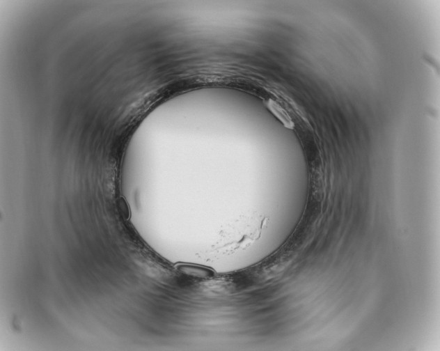 X0000095900505200802011131