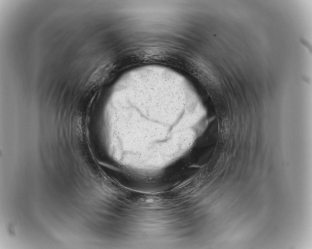 X0000095900506200802011131